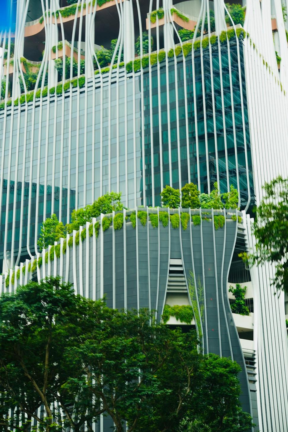 Tech Hub Transformed